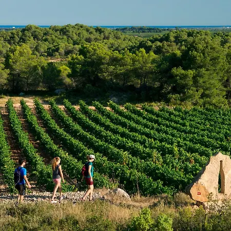 Vacancéole - Résidence Le Palmyra Golf 4* Agde