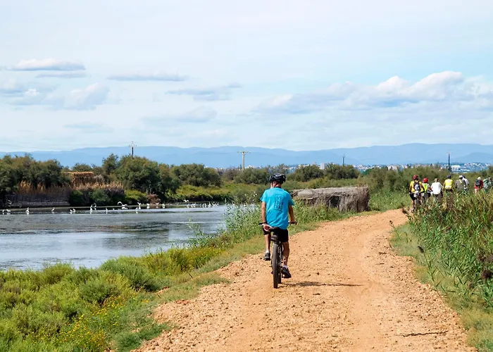 Vacancéole - Résidence Le Palmyra Golf Aparthotel