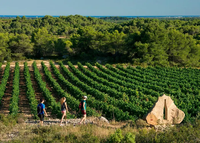 Palmyra Golf & 4* Agde